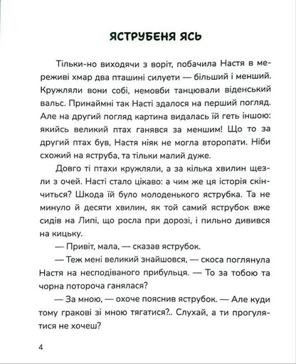 New Trails - Нов стежки Roman Rosytskyi - Роман Росицький 9786178177973-4