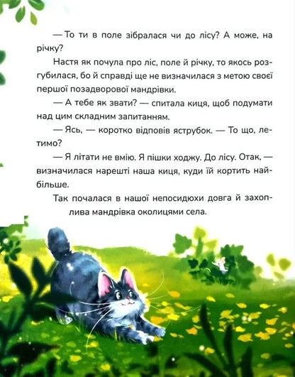 New Trails - Нов стежки Roman Rosytskyi - Роман Росицький 9786178177973-6