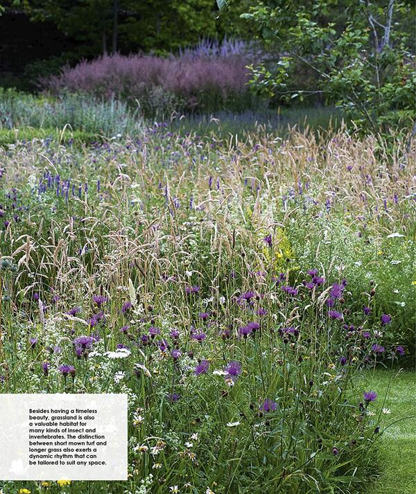 New Wild Garden. Natural-Style Planting And Practicalities Ian Hodgson / Иэн Ходжсон 9780711260092-2