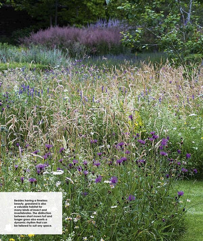 New Wild Garden. Natural-Style Planting And Practicalities Ian Hodgson / Иэн Ходжсон 9780711260092-2