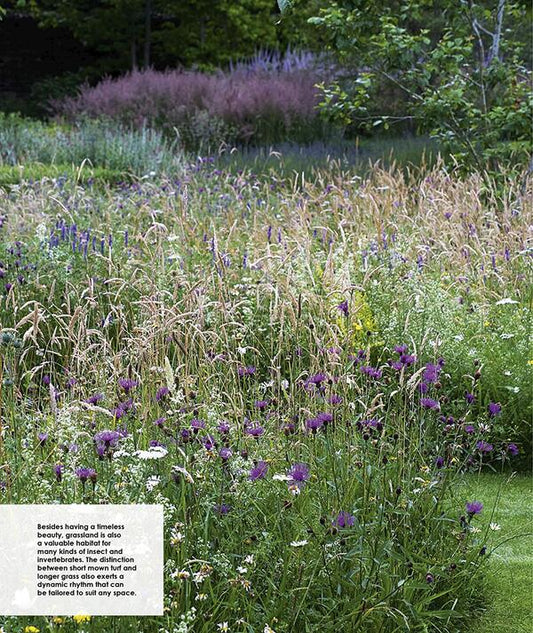 New Wild Garden. Natural-Style Planting And Practicalities Ian Hodgson / Иэн Ходжсон 9780711260092-2