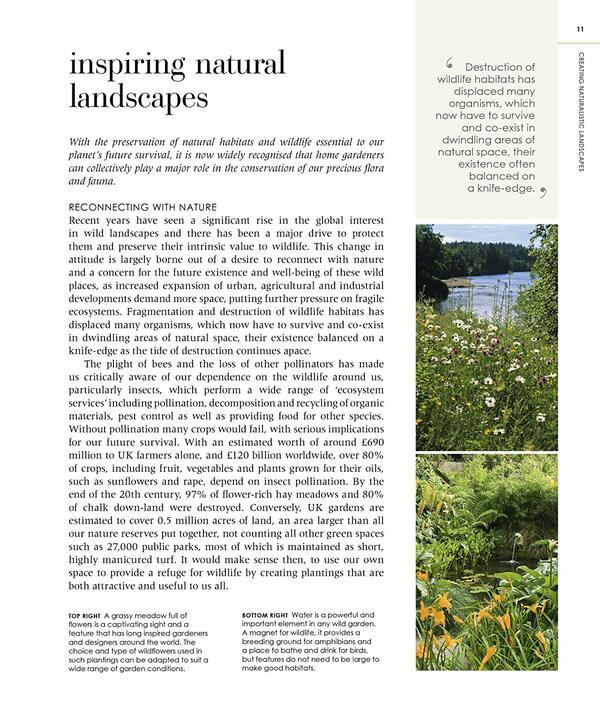 New Wild Garden. Natural-Style Planting And Practicalities Ian Hodgson / Иэн Ходжсон 9780711260092-3