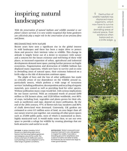 New Wild Garden. Natural-Style Planting And Practicalities Ian Hodgson / Иэн Ходжсон 9780711260092-3