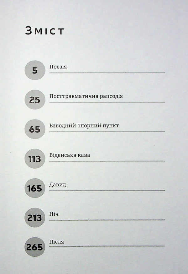 Night / Ніч Дмитрий Корчинский 9786178214197-3