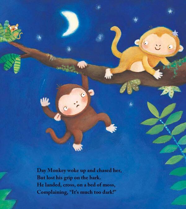 Night Monkey, Day Monkey / Night Monkey, Day Monkey Джулия Дональдсон 978-0-7555-0140-3-4