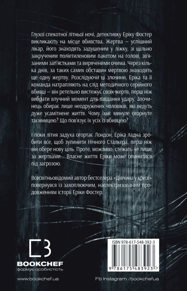 Night Stalker / Нічний Сталкер Роберт Брындза 978-617-548-392-3-2