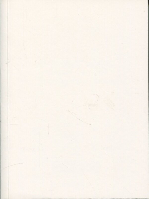 Ninety Lihie: Forge of frames. Dnepropetrovsk / Ліхіє дев’яності: Кузня кадрів. Дніпропетровськ Максим Беспалов 978-617-569-288-2-3