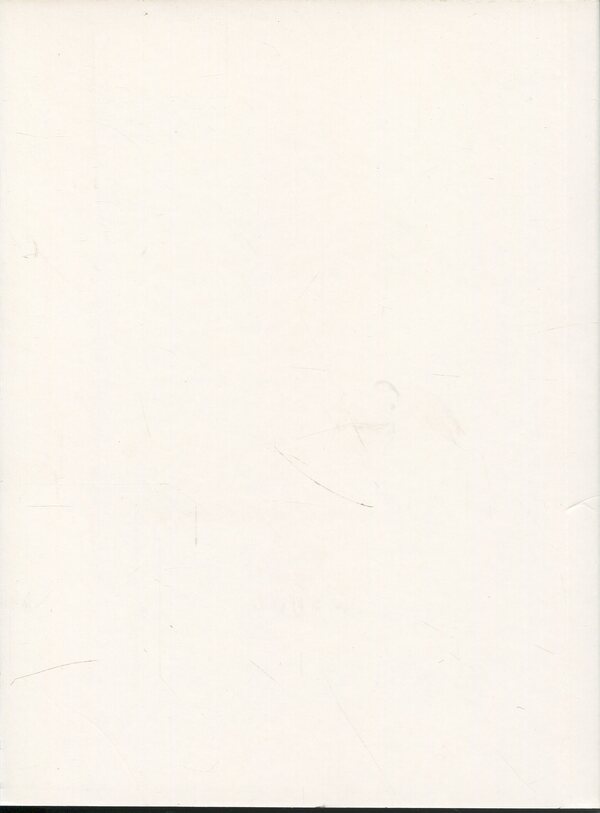 Ninety Lihie: Forge of frames. Dnepropetrovsk / Ліхіє дев’яності: Кузня кадрів. Дніпропетровськ Максим Беспалов 978-617-569-288-2-4