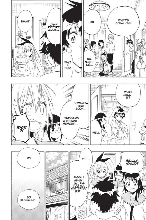 Nisekoi. False Love. Volume 11 Naoshi Komi / Наоси Коми 9781421577814-6