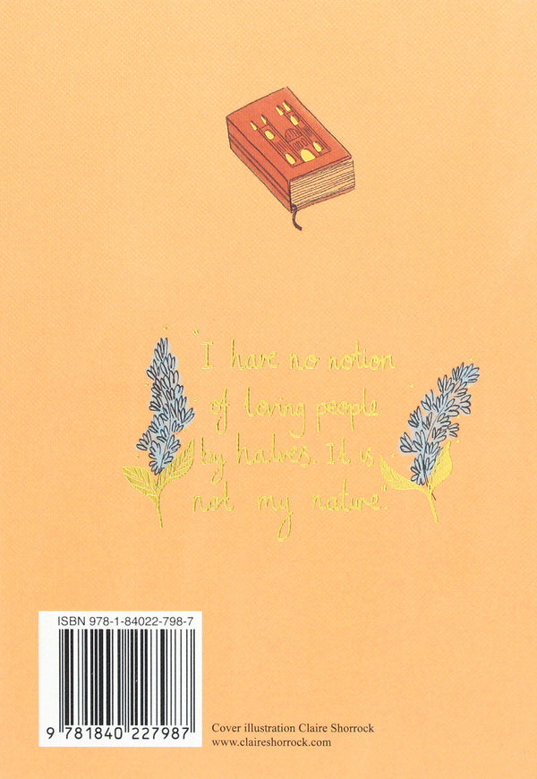 Northanger Abbey Jane Austen / Джейн Остин 9781840227987-2