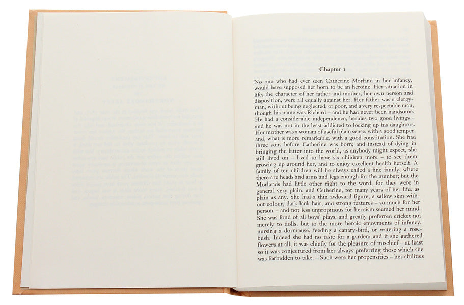 Northanger Abbey Jane Austen / Джейн Остин 9781840227987-4