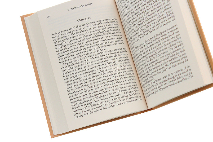 Northanger Abbey Jane Austen / Джейн Остин 9781840227987-5