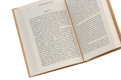 Northanger Abbey Jane Austen / Джейн Остин 9781840227987-5