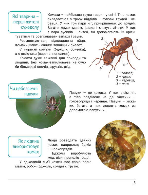 Notebook Of The Researcher. Grade 3. Part 2 (To Podr. Ishchenko OL And Others) / Зошит дослідника. 3 клас. Частина 2 (до підр. Іщенко О. Л. та ін.) Elena Ishchenko, Andrei Ishchenko / Олена Ішенко, Андрій Ішенко 9789669455208-3