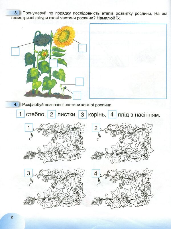 Notebook from the integrated course 'I explore the world'. Part 3. 1st class / Зошит з інтегрованого курсу 'Я досліджую світ'. Частина 3. 1 клас Татьяна Гильберг, Светлана Тарнавская, Нина Павич 978-966-11-0909-3-4