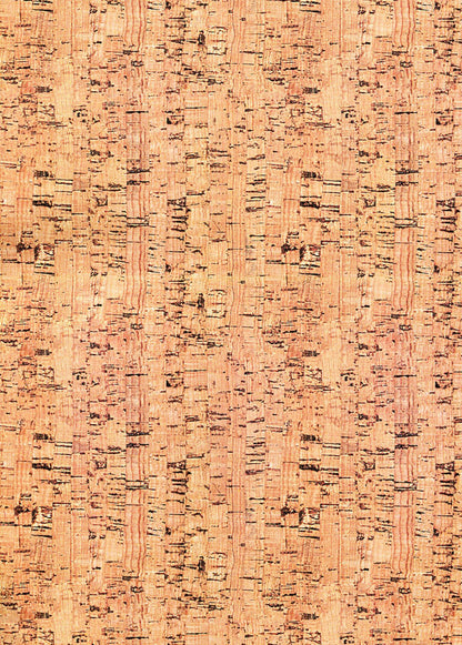 Notes of Julius Caesar and his successors. About the civil war. About the Alexandrian War. About the African War / Записки Юлия Цезаря и его продолжателей. О гражданской войне. Об Александрийской войне. Об Африканской войне Гай Юлий Цезарь 978-611-01-1752-4-2