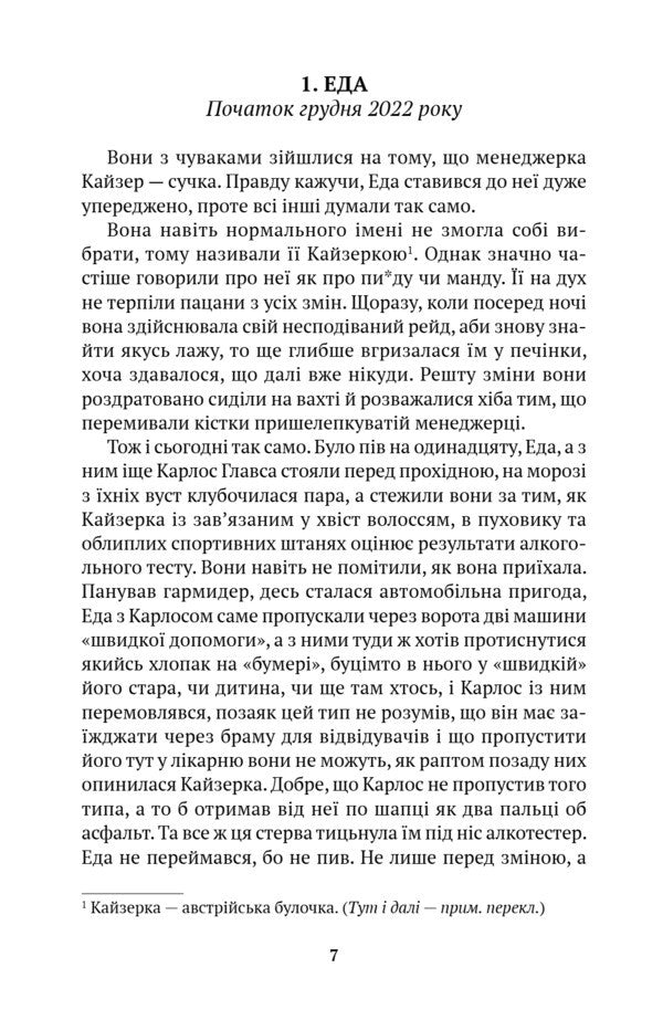 Nothing Comforting / Нічого втішного Michal Sykora / Міхал Сикора 9786175531112-2