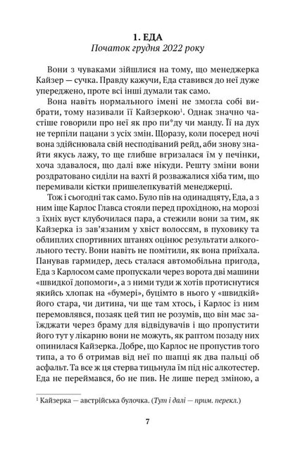 Nothing Comforting / Нічого втішного Michal Sykora / Міхал Сикора 9786175531112-2
