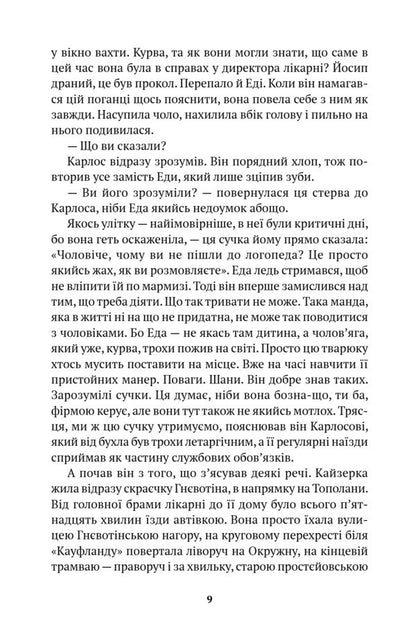 Nothing Comforting / Нічого втішного Michal Sykora / Міхал Сикора 9786175531112-4