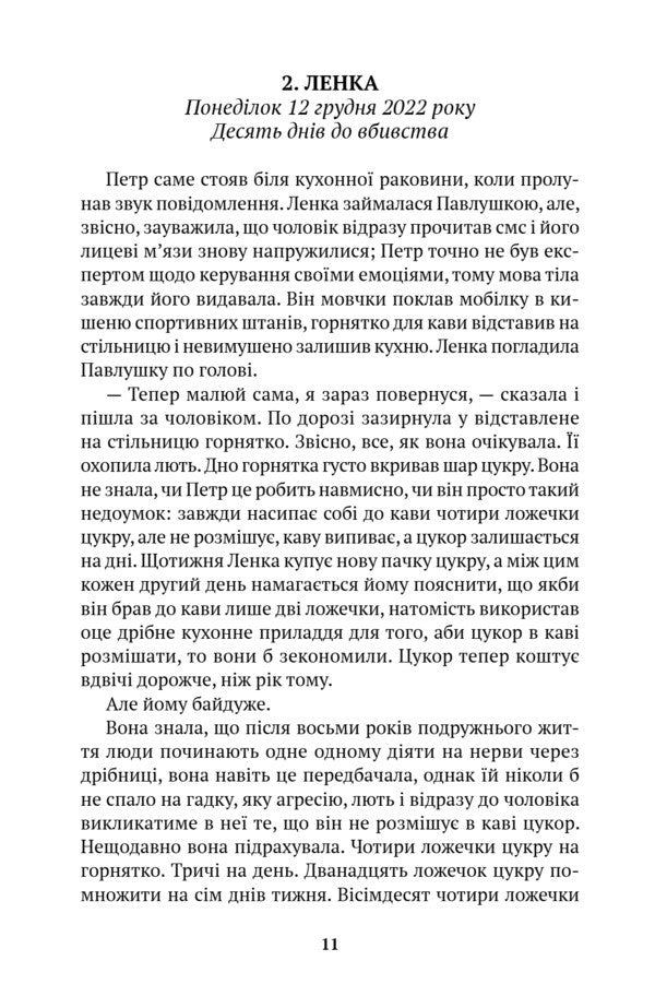 Nothing Comforting / Нічого втішного Michal Sykora / Міхал Сикора 9786175531112-6