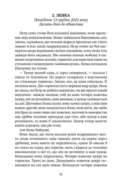 Nothing Comforting / Нічого втішного Michal Sykora / Міхал Сикора 9786175531112-6