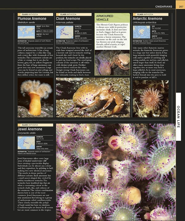 Ocean. The Definitive Visual Guide / Author not specified 9780241537824-4