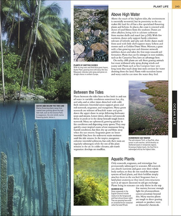 Ocean. The Definitive Visual Guide / Author not specified 9780241537824-5