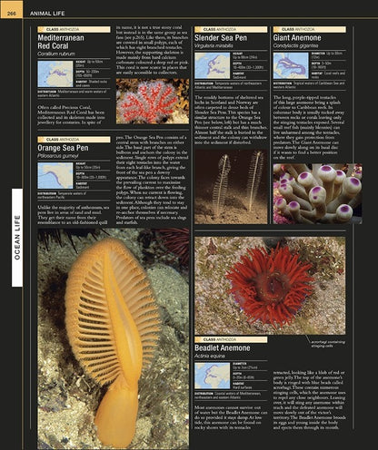 Ocean. The Definitive Visual Guide / Author not specified 9780241537824-6