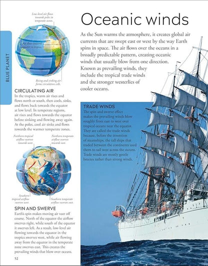 Ocean A Childrens Encyclopedia New Edition DK Dorling Kindersley - DK Dorling Kindersley 9780241741740-3