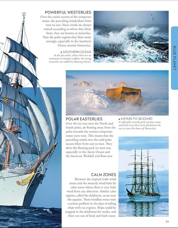 Ocean A Childrens Encyclopedia New Edition DK Dorling Kindersley - DK Dorling Kindersley 9780241741740-4