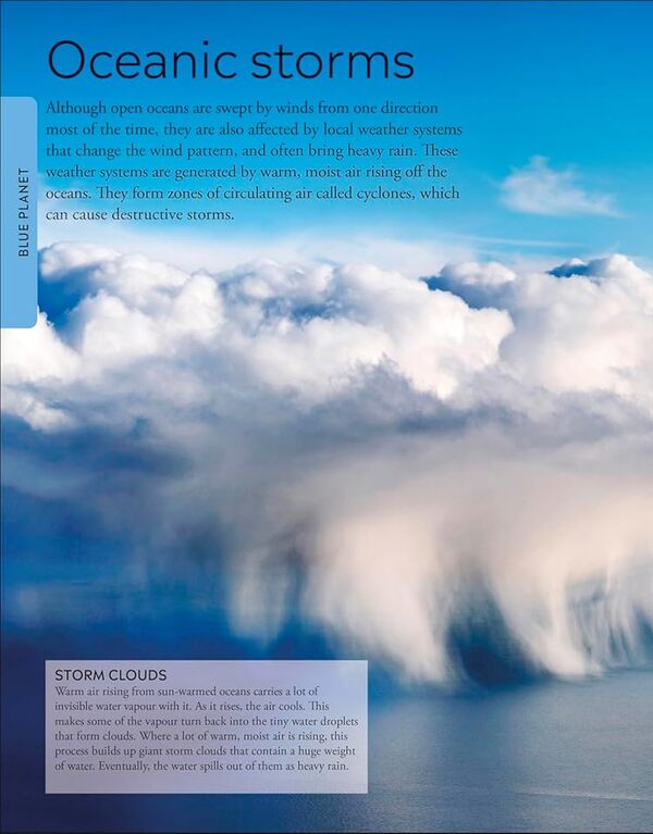 Ocean A Childrens Encyclopedia New Edition DK Dorling Kindersley - DK Dorling Kindersley 9780241741740-5