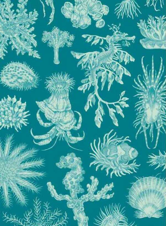 Oceanarium Loveday Trinick / Лавдэй Триник 9781787416314-2