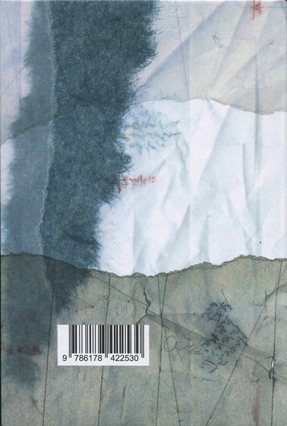 Odessa carousel. Poems and notes / Карусель Одеси. Вірші та примітки Пит Хёрольд 978-617-8422-53-0-2