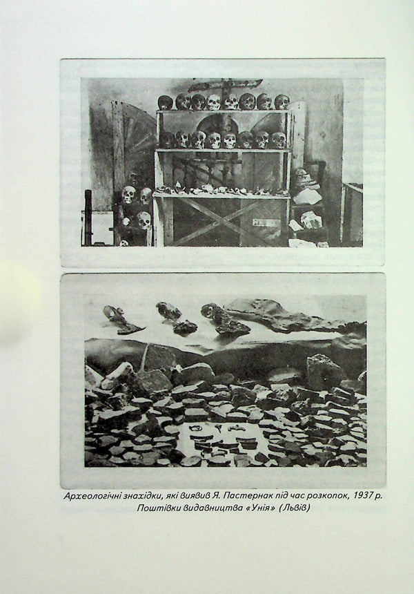 Old Halych. Series 2. Issue 8 / Старий Галич. Серія 2. Випуск 8 Ярослав Пастернак 978-966-668-541-7-6