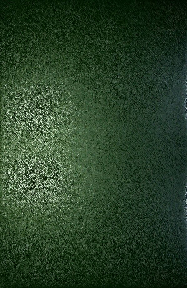 Olga Kobylyanska. Writings. Volume 8 / Ольга Кобилянська. Твори. Том 8 Olga Kobylyanskaya / Ольга Кобілінська 9789669970336-4