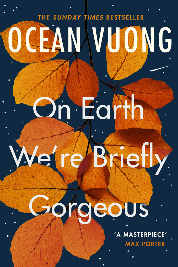 On Earth We're Briefly Gorgeous / On Earth We're Briefly Gorgeous Оушен Вуонг 9781529110685-1