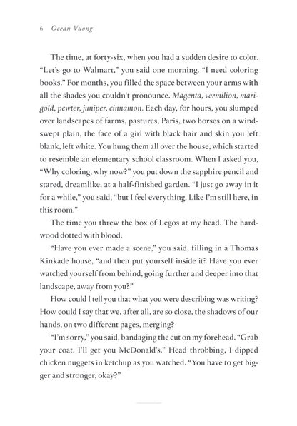 On Earth We're Briefly Gorgeous / On Earth We're Briefly Gorgeous Оушен Вуонг 9781529110685-4