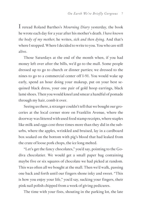 On Earth We're Briefly Gorgeous / On Earth We're Briefly Gorgeous Оушен Вуонг 9781529110685-5