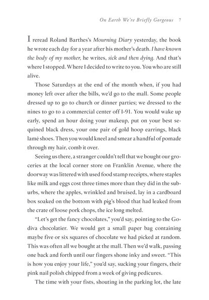 On Earth We're Briefly Gorgeous / On Earth We're Briefly Gorgeous Оушен Вуонг 9781529110685-5