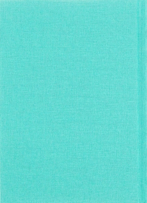 On The Silver Shore / На срібнім березі Mykola Vyngranovsky / Микола Вінграновський 9786175850411-2