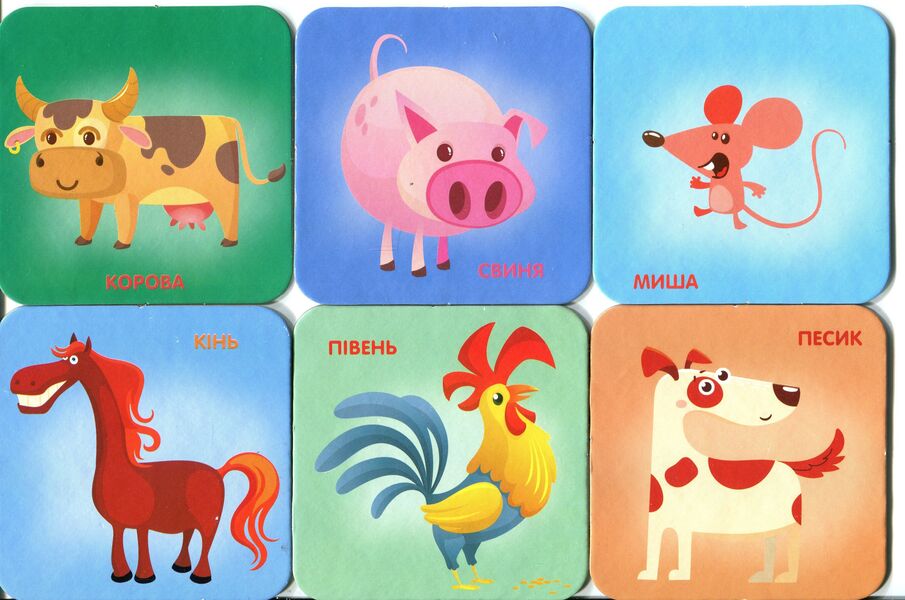 On the farm. Animals on cards / На фермі. Тварини на картках  -3