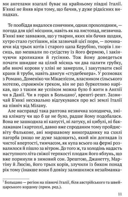 Once in Calabria / Одного разу в Калабрії Питер Бигл 978-617-629-760-4-6