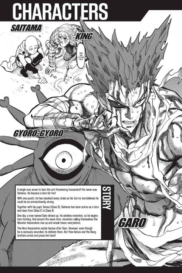 One-Punch Man. Volume 17 One / One 9781974707454-5