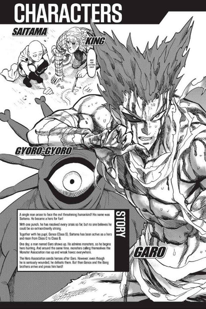 One-Punch Man. Volume 17 One / One 9781974707454-5