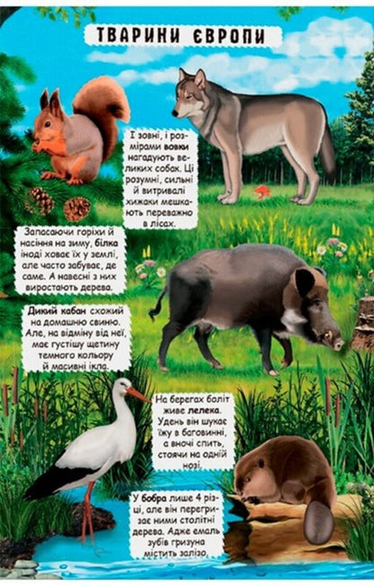 Open And Find Out Animals Of The Planet Earth - Вдкрий та дзнайся Тварини планети Земля Dmitry Turbanist - Дмитро Турбанст 9789669369505-4