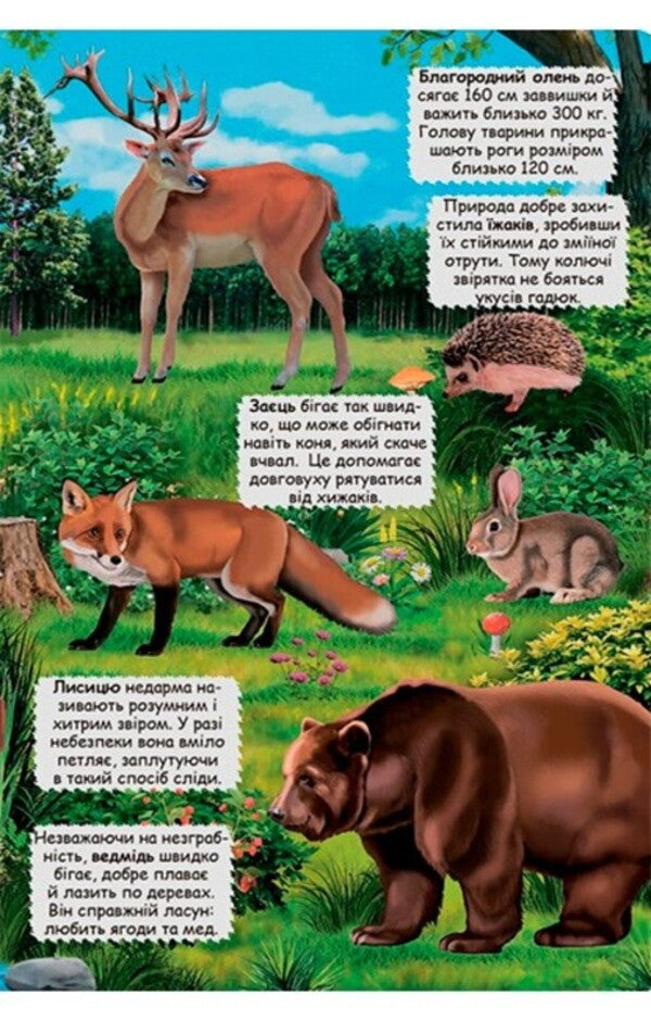 Open And Find Out Animals Of The Planet Earth - Вдкрий та дзнайся Тварини планети Земля Dmitry Turbanist - Дмитро Турбанст 9789669369505-5
