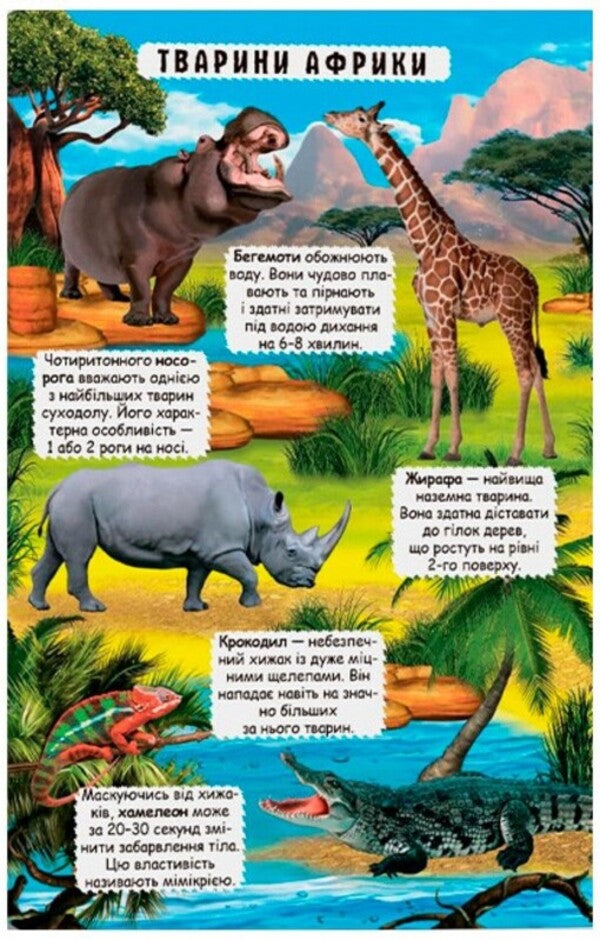 Open And Find Out Animals Of The Planet Earth - Вдкрий та дзнайся Тварини планети Земля Dmitry Turbanist - Дмитро Турбанст 9789669369505-6