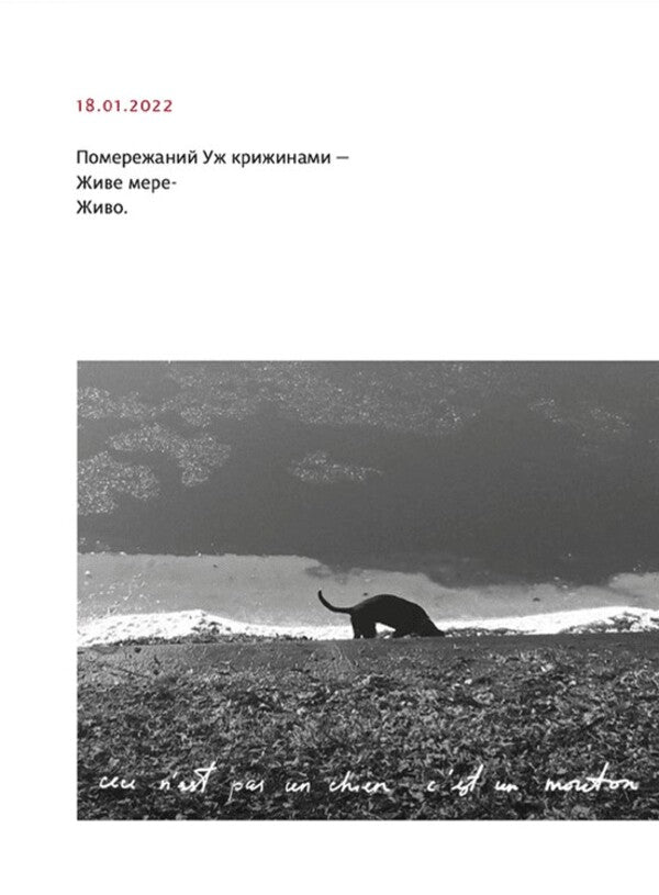 PRIMITIVE / PRIMITIVO Марьяна Прохасько 978-966-448-104-2-4