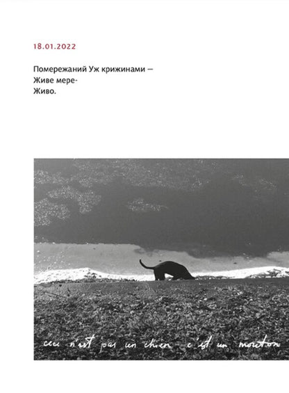 PRIMITIVE / PRIMITIVO Марьяна Прохасько 978-966-448-104-2-4