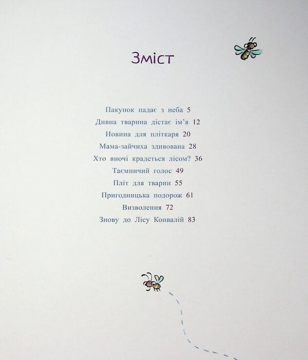 Package with a beak / Пакунок із дзьобом Марлизе Арольд 978-617-09-9454-7-4